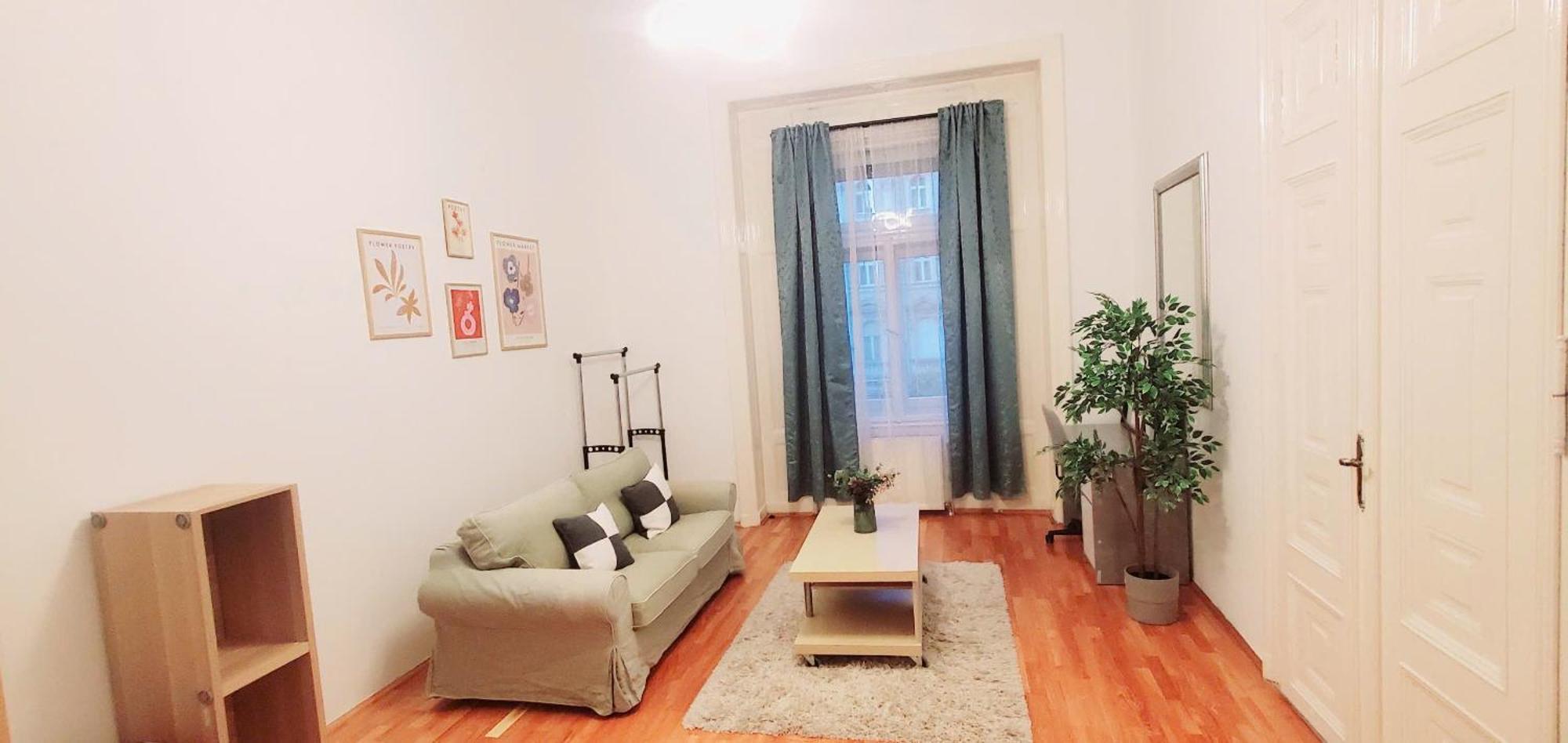 Deluxe And Cozy In The Center Apartment
